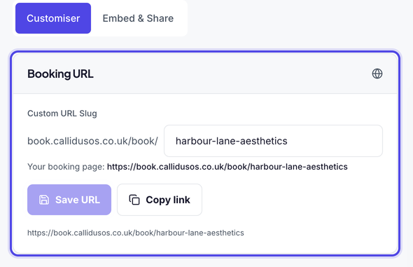 The Booking URL card highlighted, showing the custom URL slug harbour-lane-aesthetics, the full booking link and the Copy link button.